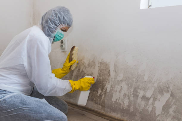 Best Residential Mold Removal  in Keedysville, MD