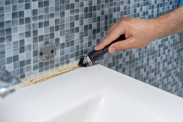 Best Toxic Mold Removal  in Keedysville, MD