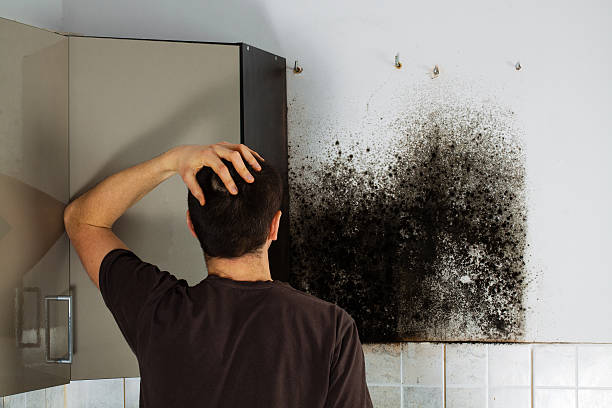 Best Residential Mold Removal  in Keedysville, MD