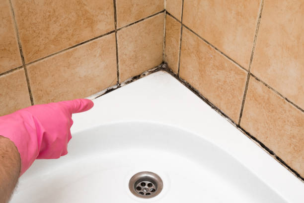 Best Emergency Mold Removal  in Keedysville, MD